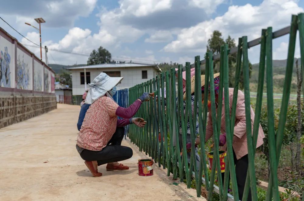 牟定县蟠猫乡碑厅村委会丫口村当地村民在为村内的栅栏刷漆（6月27日摄）。